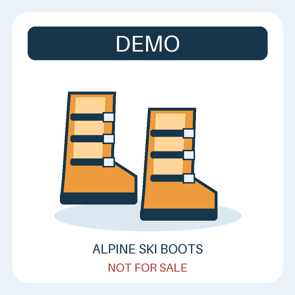 DEMO - not for sale: Alpine ski boots